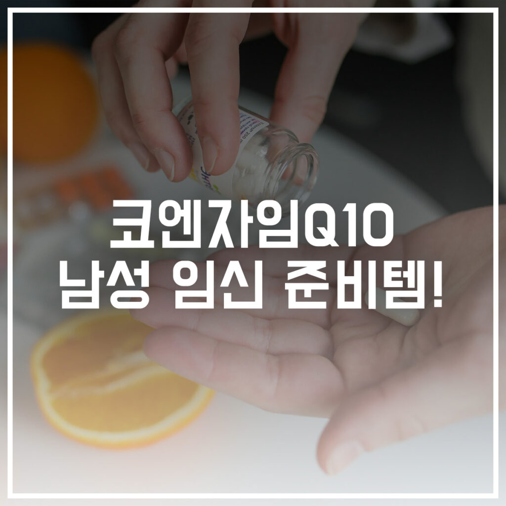 코엔자임Q10 남성 정자
