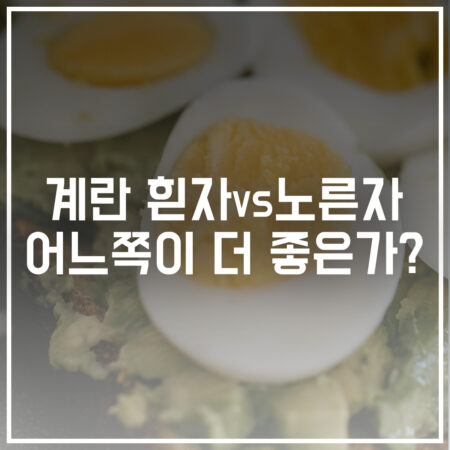 계란 흰자 노른자 비교