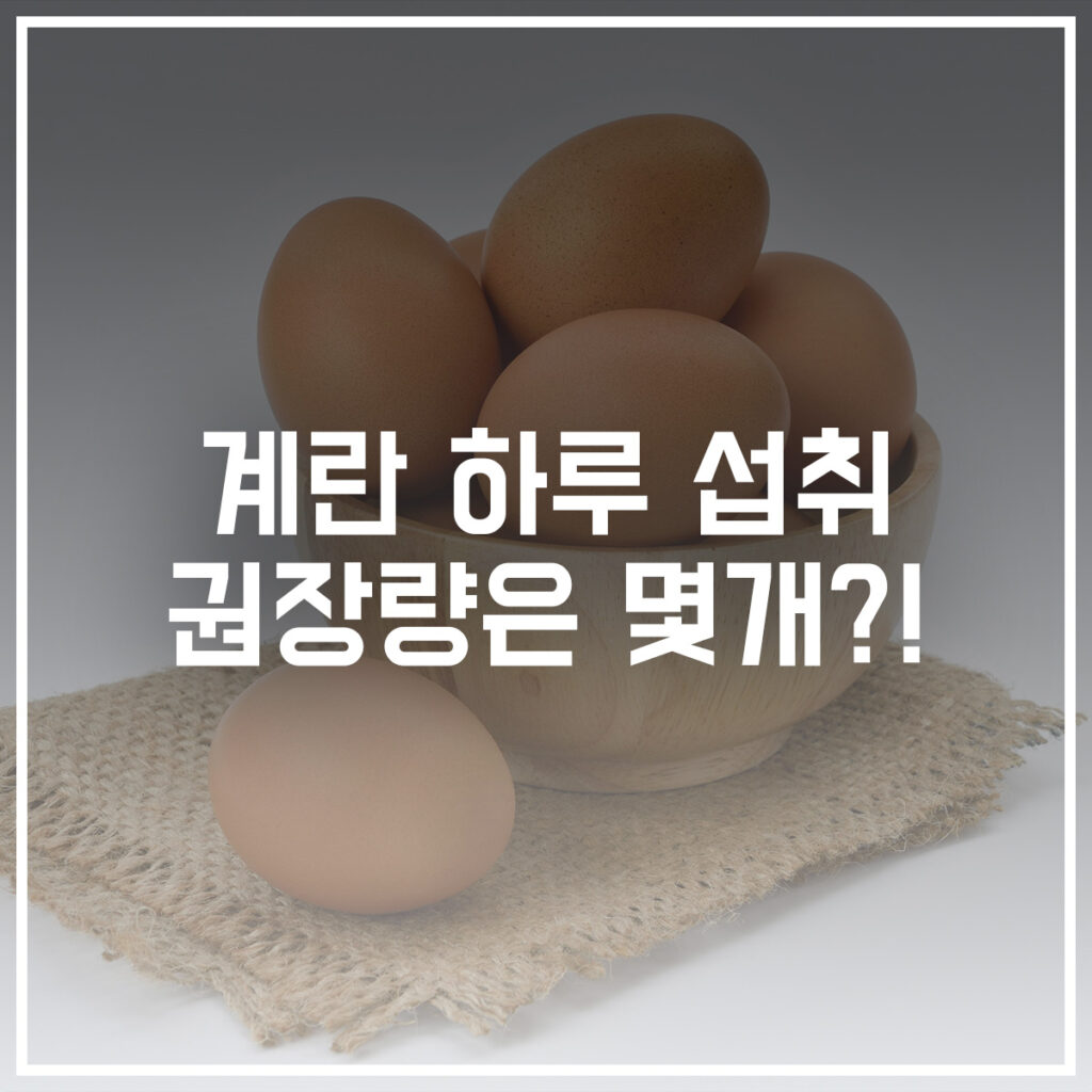 계란 하루 권장량