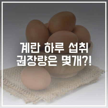 계란 하루 권장량