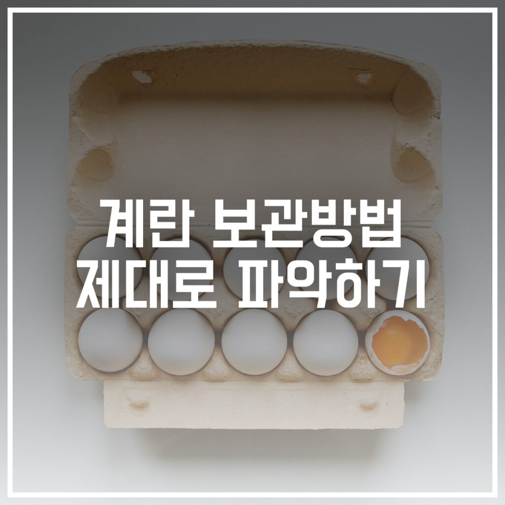 계란 보관법 파악하기