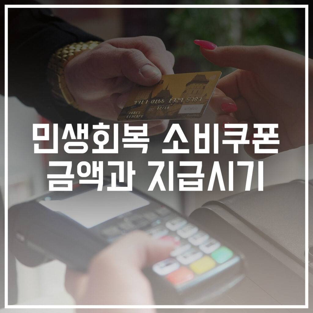 민생회복 소비쿠폰