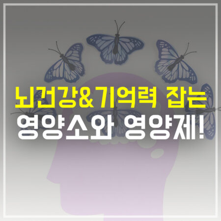 뇌건강 기억력 잡는 영양소와 영양제