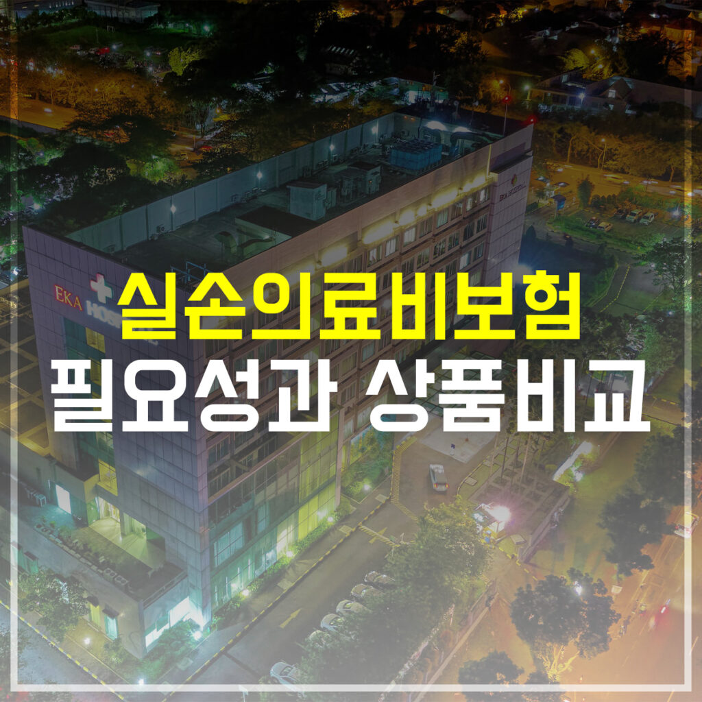 실손의료비보험 필요성과 상품비교