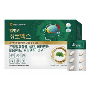 은행잎 추출물 추천 상품 03 대웅생명과학 혈행엔 징코맥스