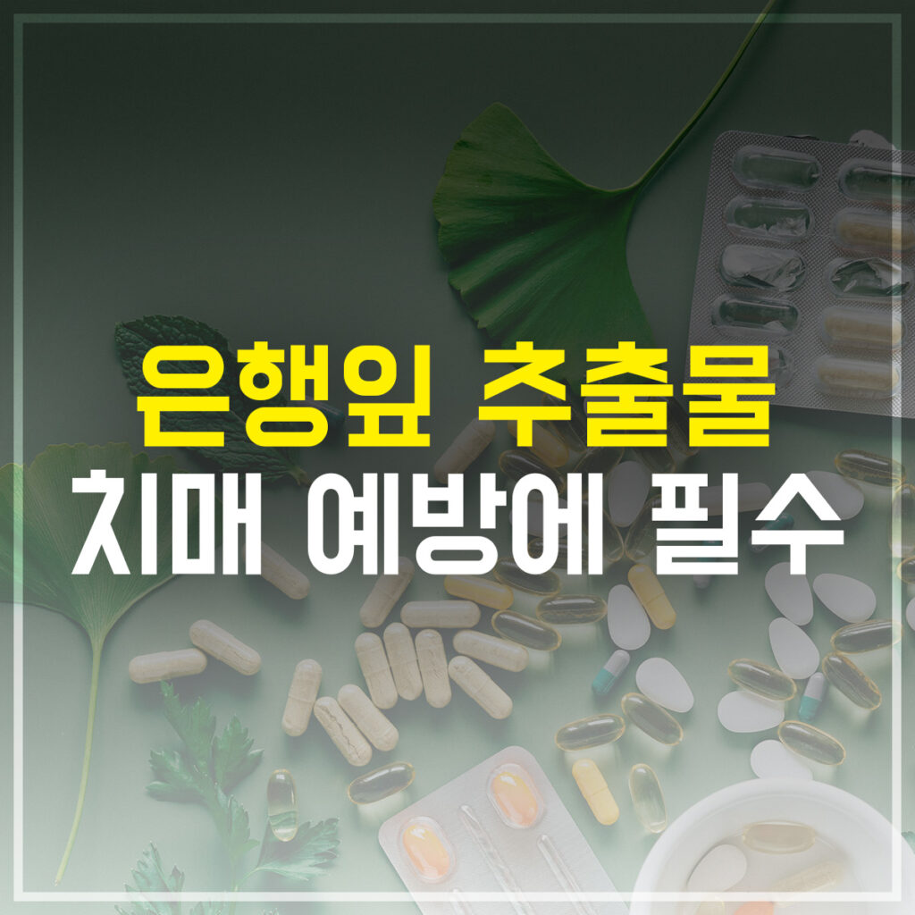 은행잎 추출물 치매 에방에 필수
