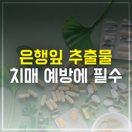 은행잎 추출물 치매 에방에 필수