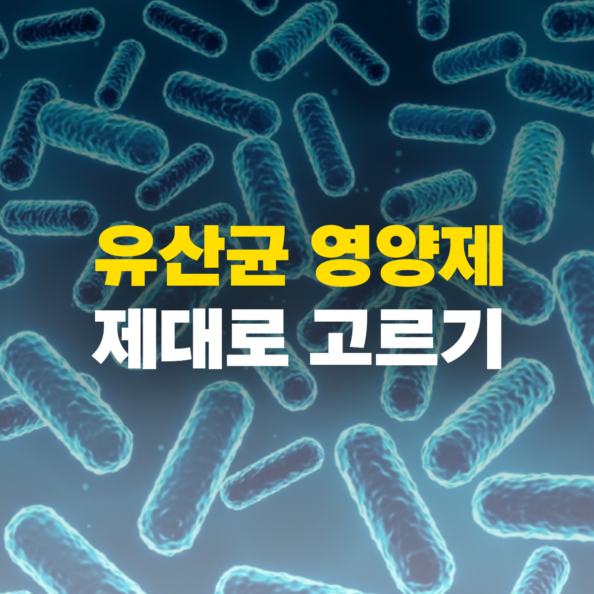 유산균 영양제 제대로 고르기