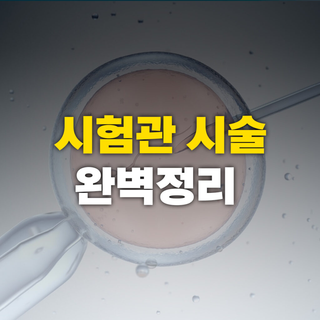시험관 아기 시술 완벽정리