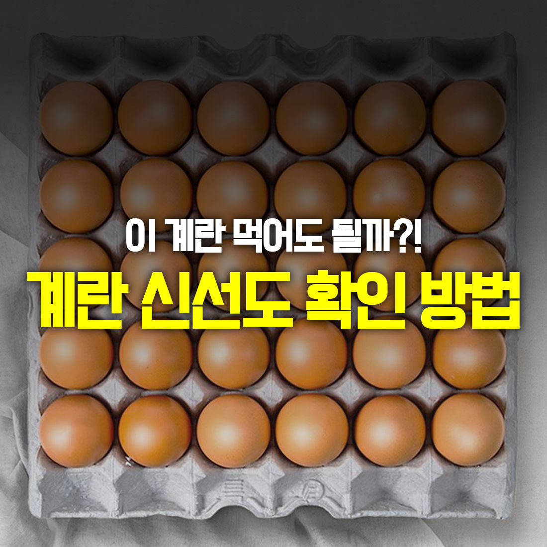 계란 신선도 확인 방법