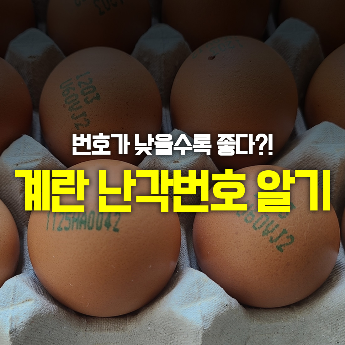 계란 난각번호 바로 알기