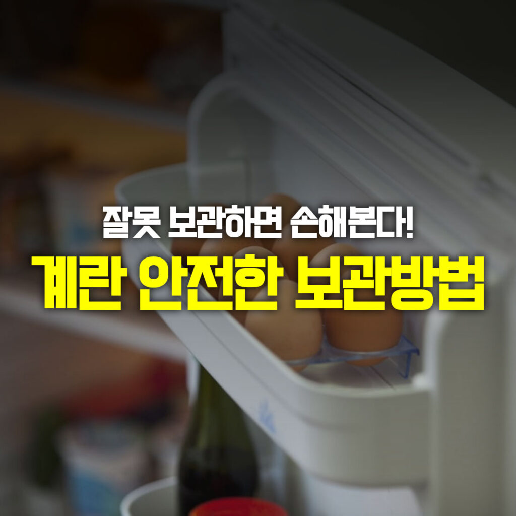 계란 안전하게 보관 방법
