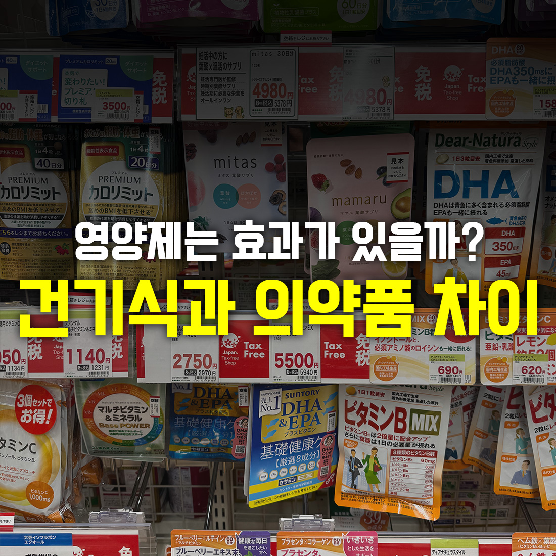 영양제 효과 있을까 건기식과 의약품 차이